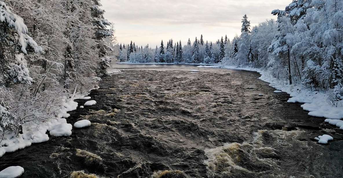Rovaniemi: Vaattunki Hiking Arctic Circle Trail - English-Only Guide and Small Group Advantage
