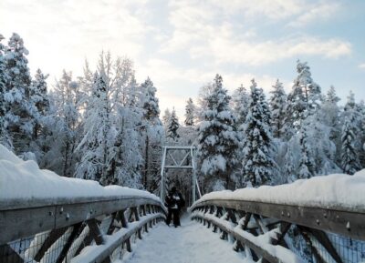 Rovaniemi: Vaattunki Hiking Arctic Circle Trail - The Route: How the Guide Chooses Your Trail Length