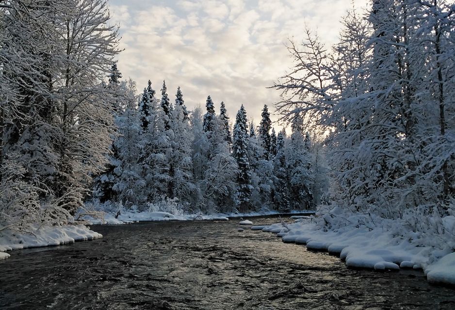 Rovaniemi: Vaattunki Hiking Arctic Circle Trail - Crossing the Arctic Circle: More Than a Checklist Moment