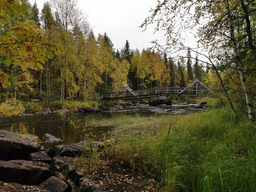 Rovaniemi: Vaattunki Hiking Arctic Circle Trail - Pacing, Safety, and Weather Reality on a 3-Hour Trail