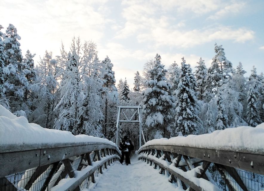 Rovaniemi: Vaattunki Hiking Arctic Circle Trail - The Route: How the Guide Chooses Your Trail Length