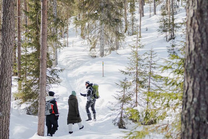Rovaniemi - Visit to The Frozen Waterfalls of Korouoma - 100 km from Rovaniemi: why the pickup is worth it