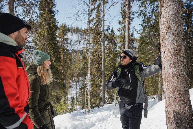 Rovaniemi - Visit to The Frozen Waterfalls of Korouoma - Value and pricing: why it may feel like a deal