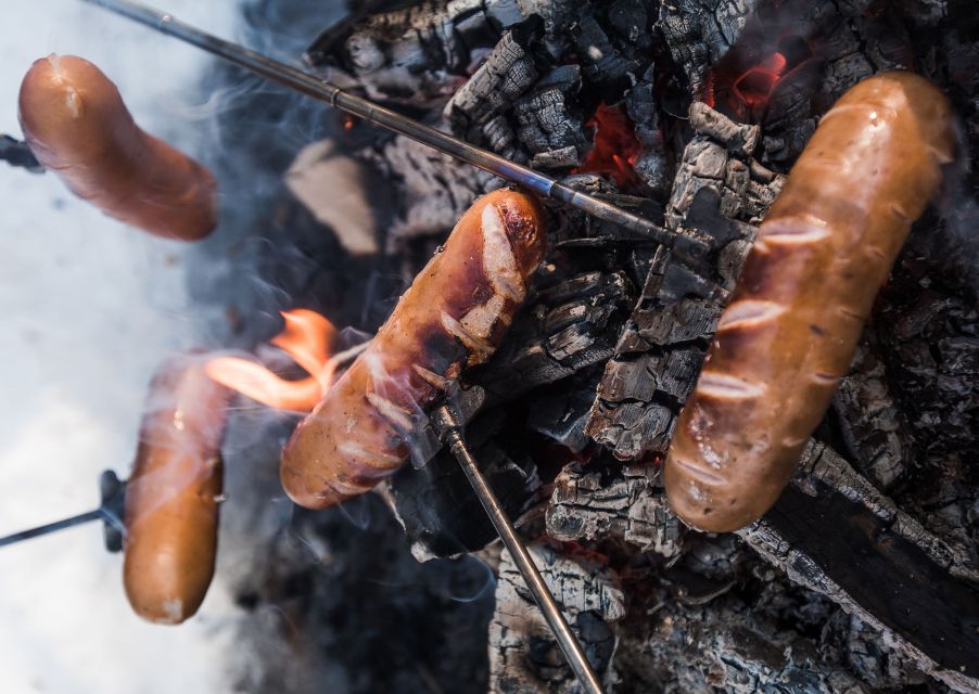 Rovaniemi: Wilderness Tour - Key highlights that make this tour worth your time