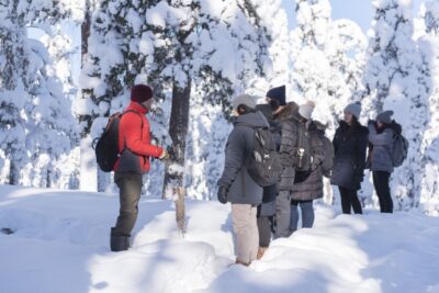 Rovaniemi: Wilderness Tour - What a 3.5-hour walk actually feels like in Lapland conditions