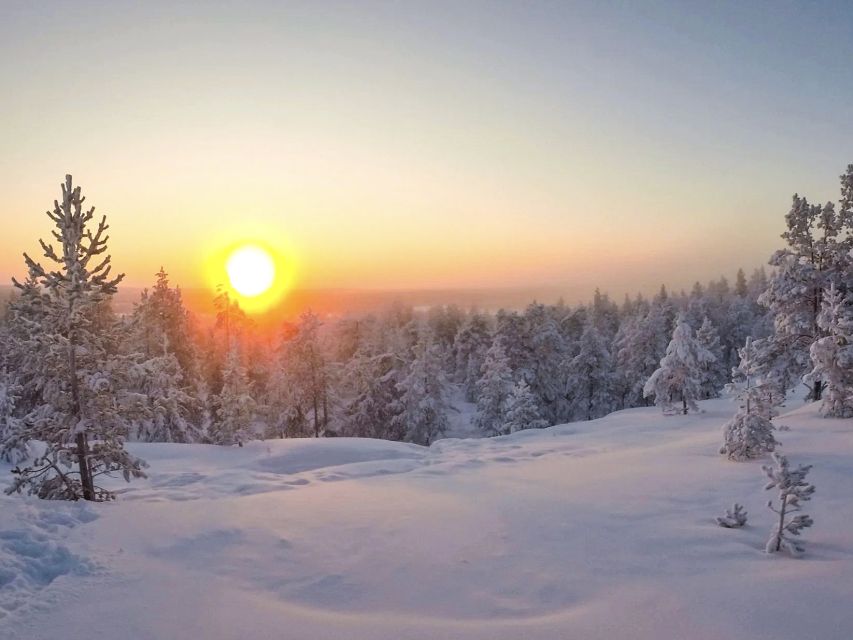 Rovaniemi: Wilderness Tour - The fire-building lesson: a survival skill you can repeat