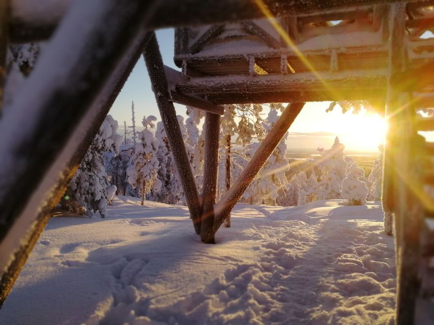 Rovaniemi: Wilderness Tour - The campfire snack: simple, warm, and actually welcome