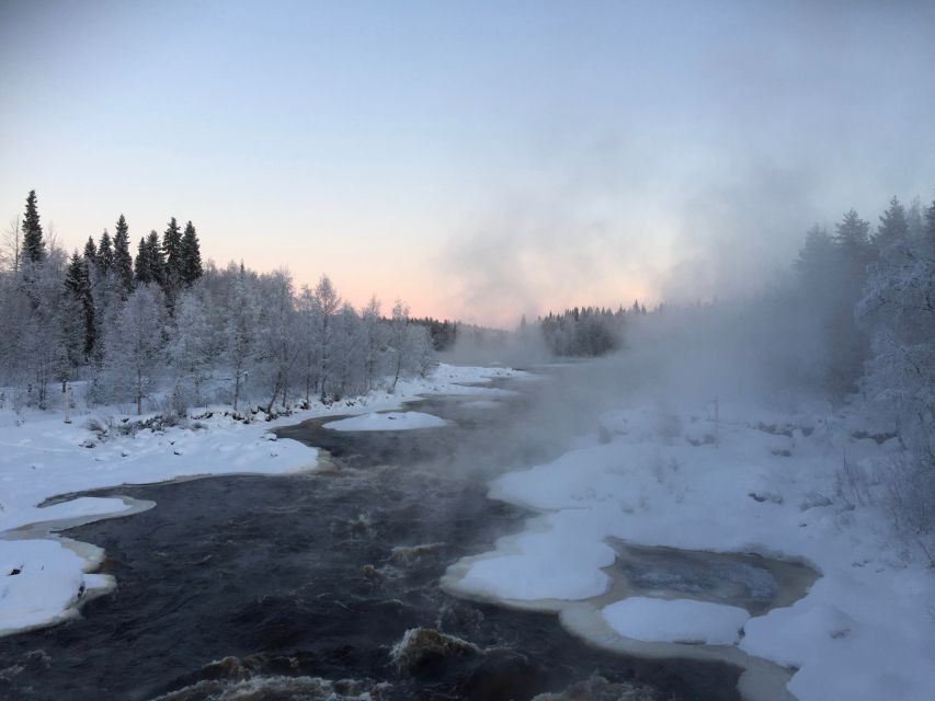 Rovaniemi: Wilderness Tour - Summer in Rovaniemi: fairytale forests and learning how to notice