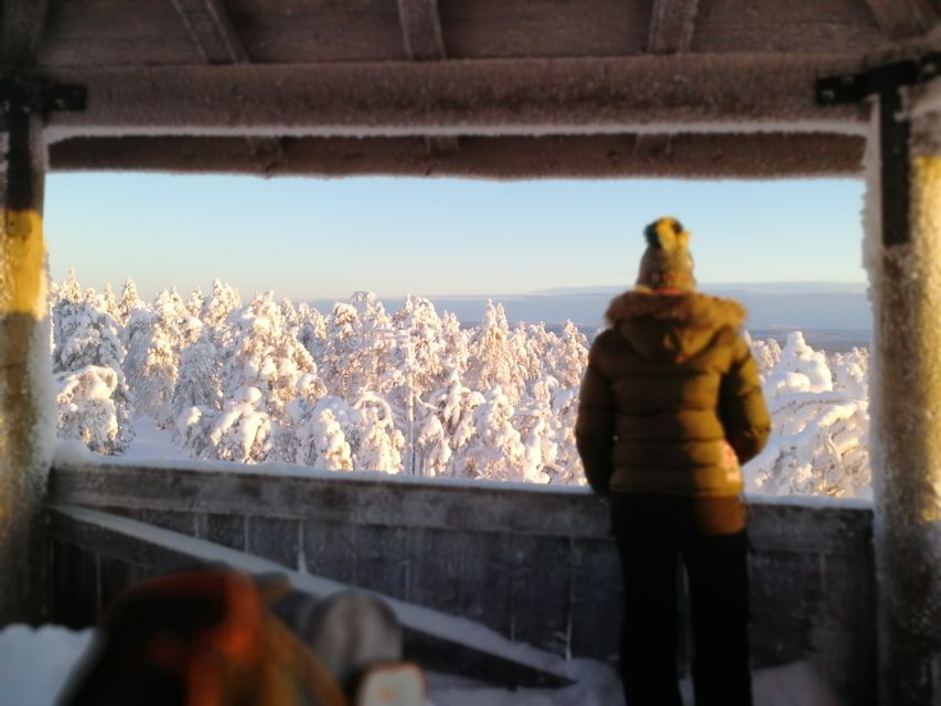 Rovaniemi: Wilderness Tour - Small groups and guides who make the woods feel friendly