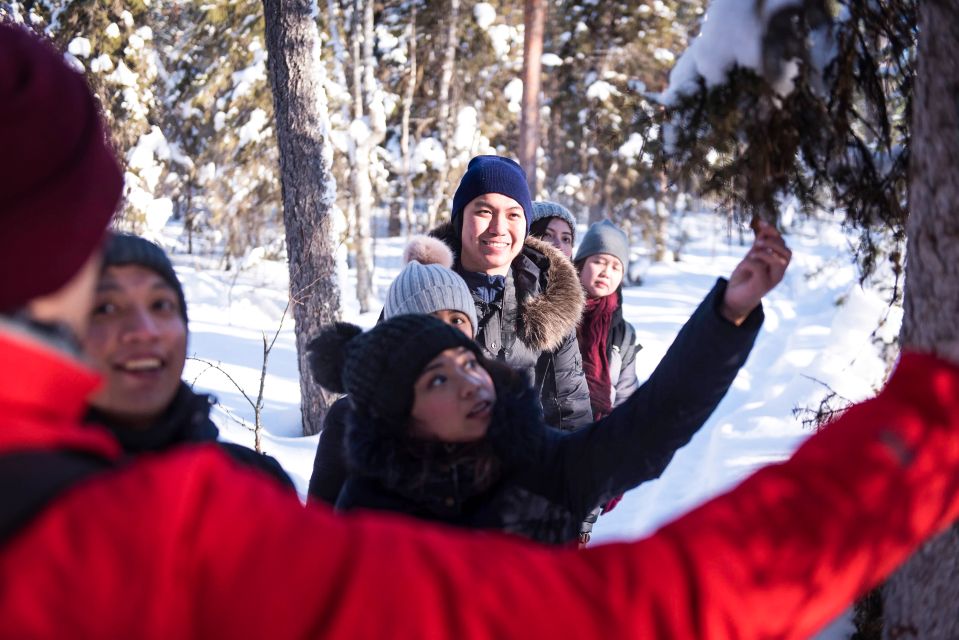 Rovaniemi: Wilderness Tour - Price and value: is $104 worth 3.5 hours?