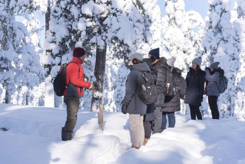 Rovaniemi: Wilderness Tour - What a 3.5-hour walk actually feels like in Lapland conditions