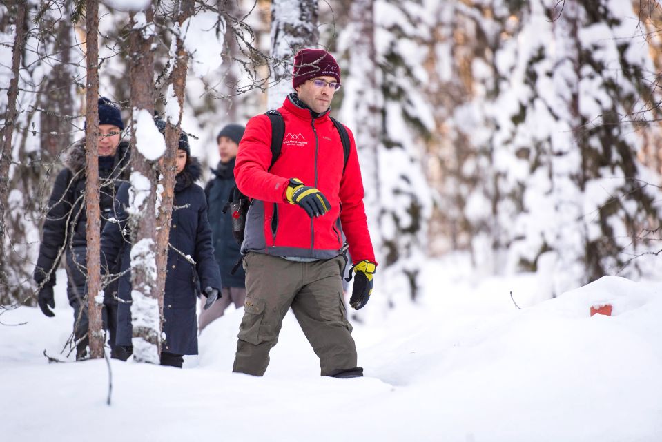 Rovaniemi: Winter Wilderness Snowshoeing Trip - Who This Tour Fits Best (and Who Should Skip It)