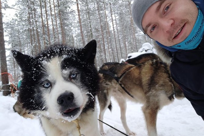 Santa Claus Village Guided Tour & Arctic Animals Adventure - Why This Santa Village and Animal Safari Tour Works in Rovaniemi