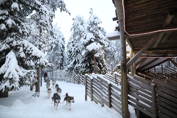 Santa Claus Village, Husky and Reindeers Combo Safari - Key Things That Make This Combo Worth Your Time