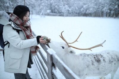Santa Claus Village, Husky and Reindeers Combo Safari - Santa Claus Village: Arctic Circle Magic With a Queue Factor