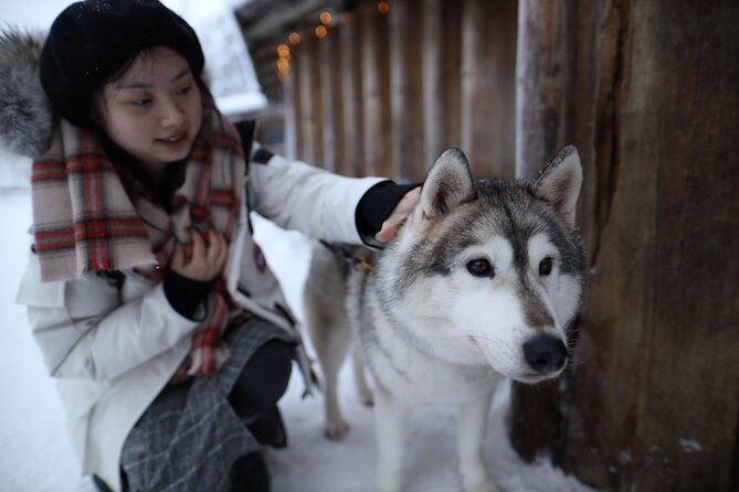 Santa Claus Village, Husky and Reindeers Combo Safari - Price and Value: When $252 Feels Fair vs. When It Feels Tight