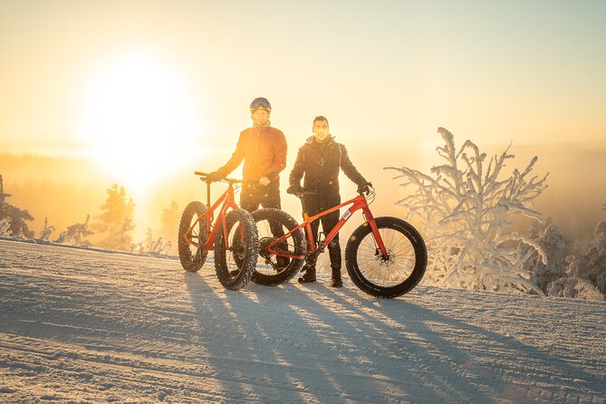 Scenic electric fat bike group ride in Rovaniemi - Key highlights worth your attention