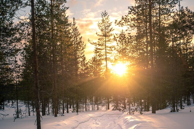 Scenic electric fat bike group ride in Rovaniemi - Lumberjack’s Candle Bridge: photos and a sense of place