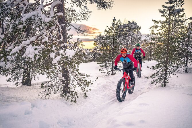 Scenic electric fat bike group ride in Rovaniemi - Tottorakka lift station: the best views and the steep section