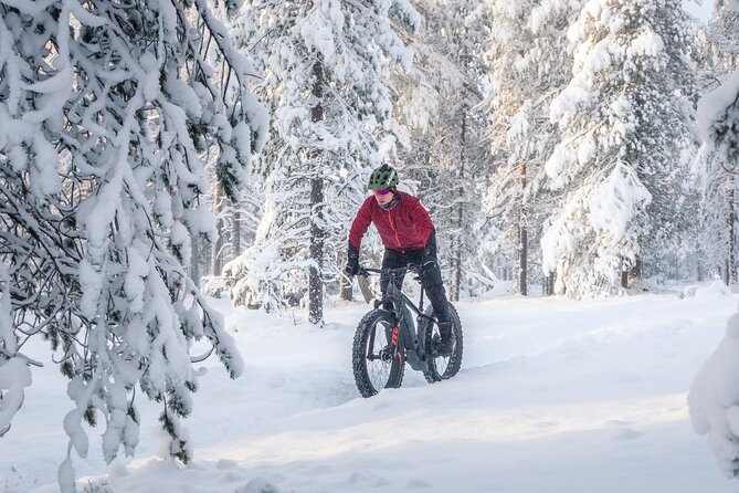 Scenic electric fat bike group ride in Rovaniemi - E-fat bike effort: what “moderate fitness” means in real life