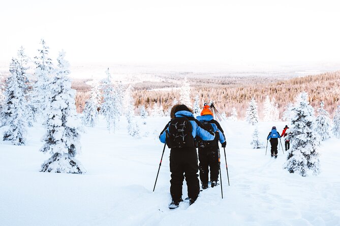 Ski Trekking Safari in Lapland - What happens on the snow: pacing, technique, and safety