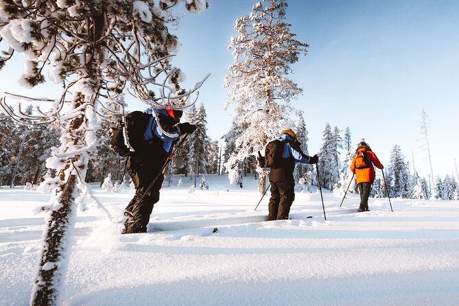 Ski Trekking Safari in Lapland - Avoiding crowds: the private-group advantage (and its real effect)