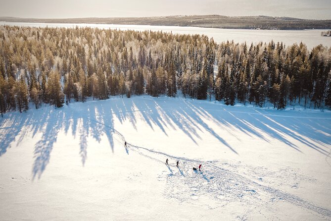 Ski Trekking Safari in Lapland - Price and value: is $131.32 a fair deal?