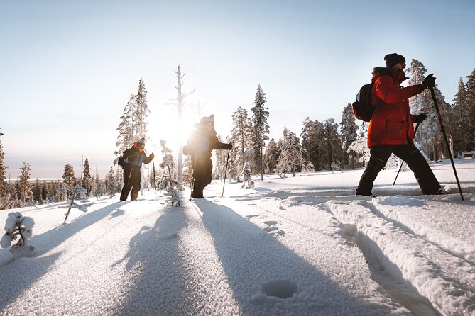 Ski Trekking Safari in Lapland - Meeting Rovakatu 24 and the timing that actually matters