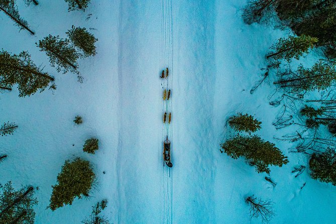 Small-Group Husky Mushing Experience in Rovaniemi - What to wear: the simple checklist that prevents misery