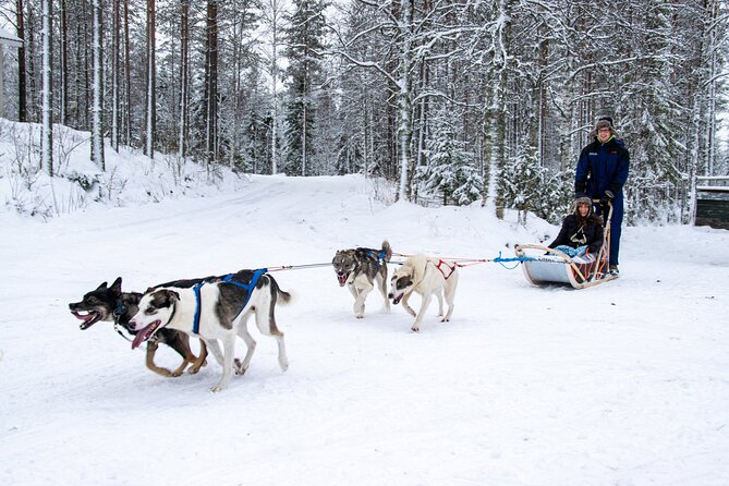 Small-Group Husky Mushing Experience in Rovaniemi - Kennel time at Parpalandia: safety first, excitement second