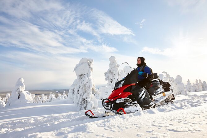 Snowmobile Adventure in Lapland - Key Highlights You’ll Care About