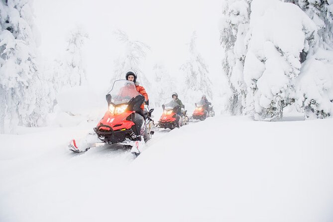 Snowmobile Adventure in Lapland - From Rovakatu 24 to Your First Track Marks