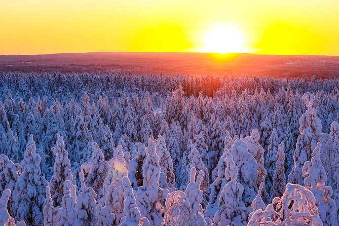 Snowmobile Adventure in Lapland - Small Group Size (Max 8) and Why That Changes the Feeling