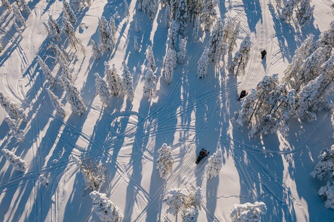 Snowmobile & Animals Day Tour - Key things I’d watch for before booking