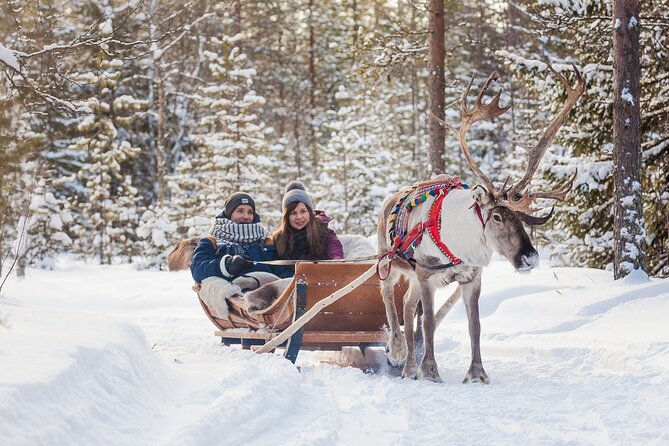 Snowmobile & Animals Day Tour - Reindeer sleigh ride: calmer speed, scenic winter track