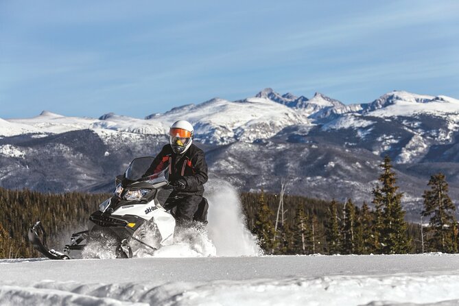Snowmobile & Animals Day Tour - Snowmobiling: your adrenaline hit (with rules you should know)
