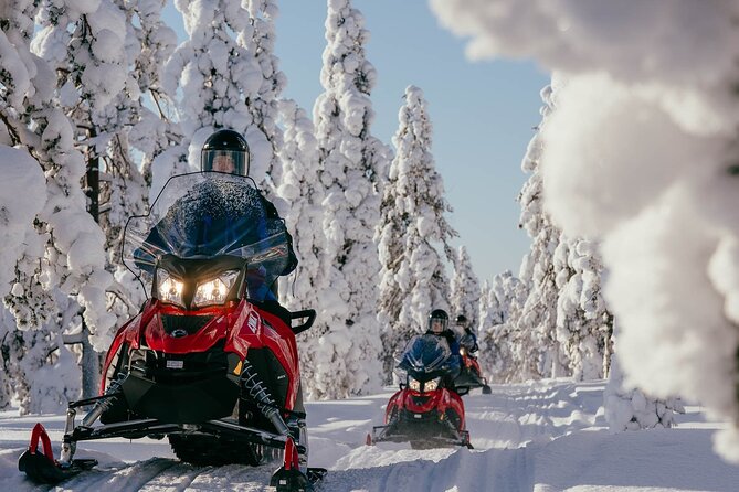 Snowmobile Safari into the Arctic Circle Forest - What you do, in plain terms