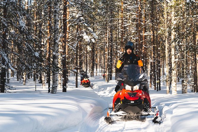 Snowmobile Safari into the Arctic Circle Forest - Key things I’d bet on