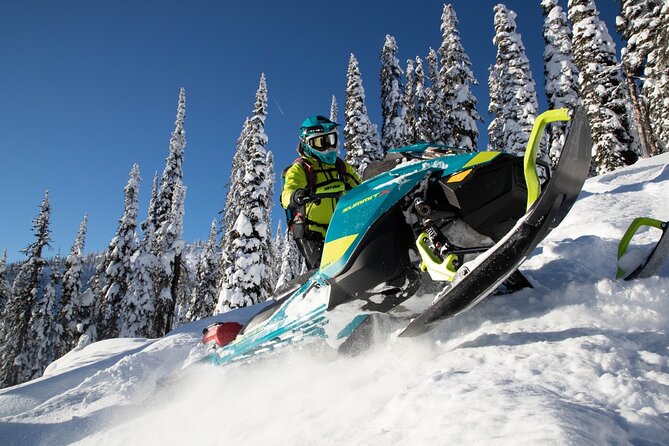 Snowmobile Safari through Lappish Forest from Rovaniemi - The Riding Route: Lapland Forest, Lakes, and That Bumpy Reality
