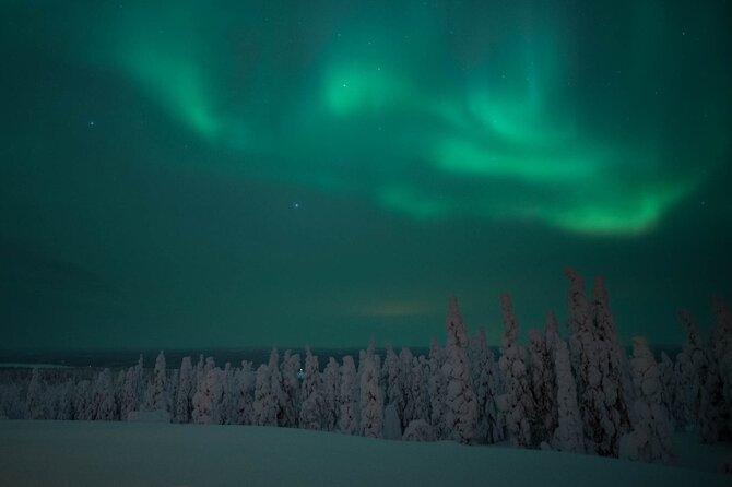 Snowmobile Safari to Search for the Northern Lights - Price and Value: Is $203 a Fair Deal for This Safari?