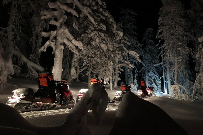 Snowmobile Safari to Search for the Northern Lights - What Happens on the Safari: Ride, Stops, and Aurora Spotting