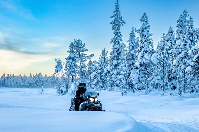 Snowmobile Tour with Small Group in Remote Wilderness 3 Hours - Quick highlights you should know before you book