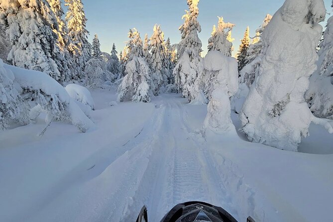 Snowmobile Tour with Small Group in Remote Wilderness 3 Hours - Riding route: snowy forests, frozen lakes, and real photo moments