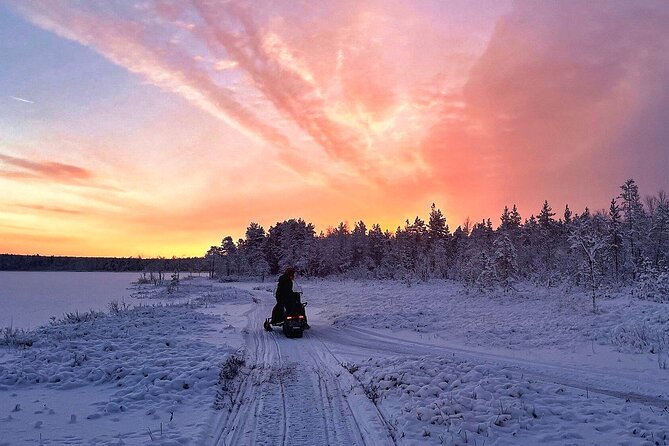 Snowmobile Tour with Small Group in Remote Wilderness 3 Hours - Small group size: how it changes the feel of the wilderness