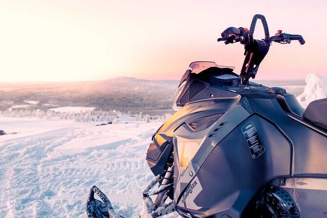 Snowmobile Tours in Rovaniemi Lapland - Driver rules and the twin-driving setup