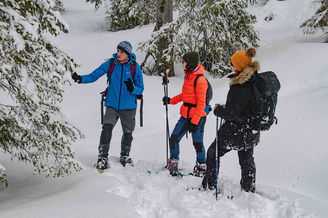 Snowshoeing Adventure with Ice-Fishing, Fire and Survival - Making Fire the Arctic Way: Tools, Trees, and Medicinal Tips