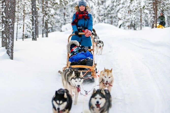 Snowy Trails 10km Husky Safari from Rovaniemi - Group size, timing, and how to avoid the chaos