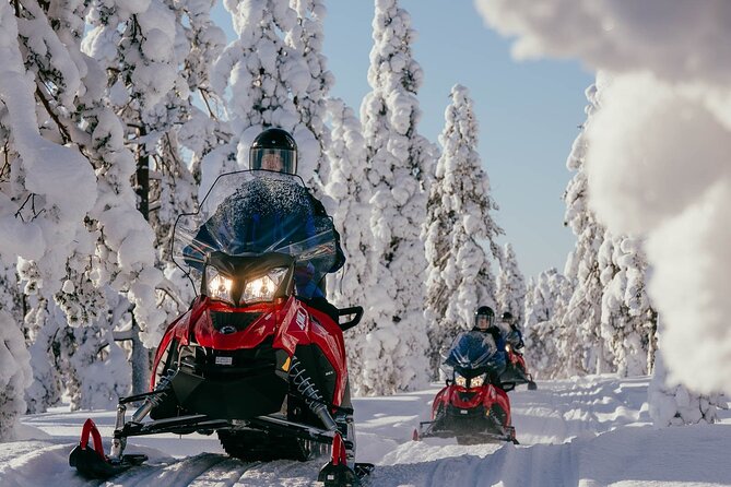 Thrill of Snowmobiling for Adults Only - Shared Two-Seaters vs Single Driver: Choosing the Thrill Level