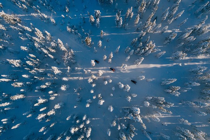 Thrill of Snowmobiling for Adults Only - Price and Value: Does $215 Feel Fair?