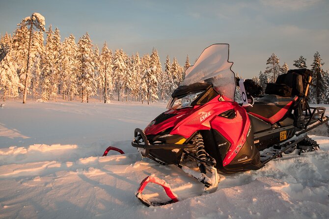 Thrill of Snowmobiling for Adults Only - Who Should Book This (and Who Might Hate It)